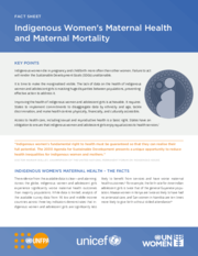 Factsheet: Indigenous Women’s Maternal Health and Maternal Mortality