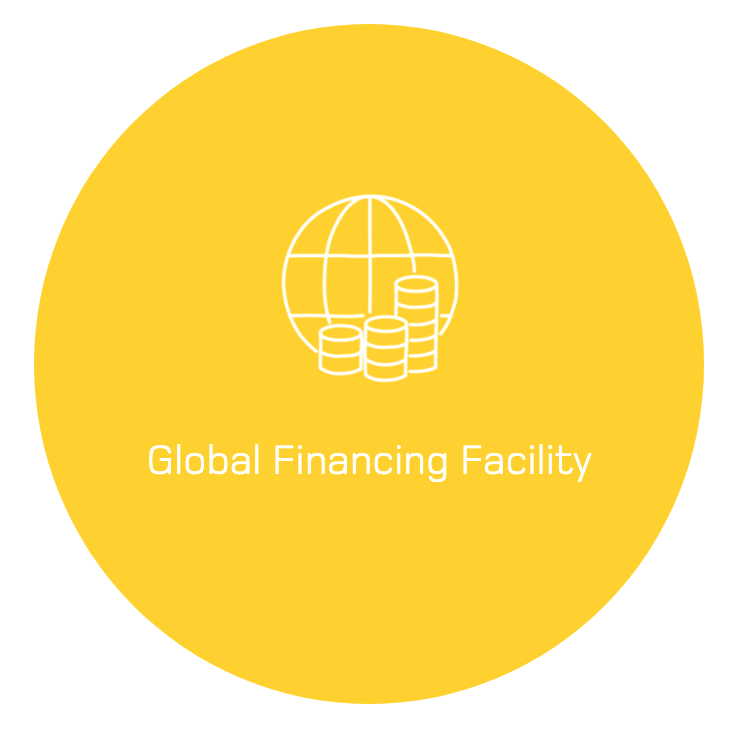 Global Financing Facility