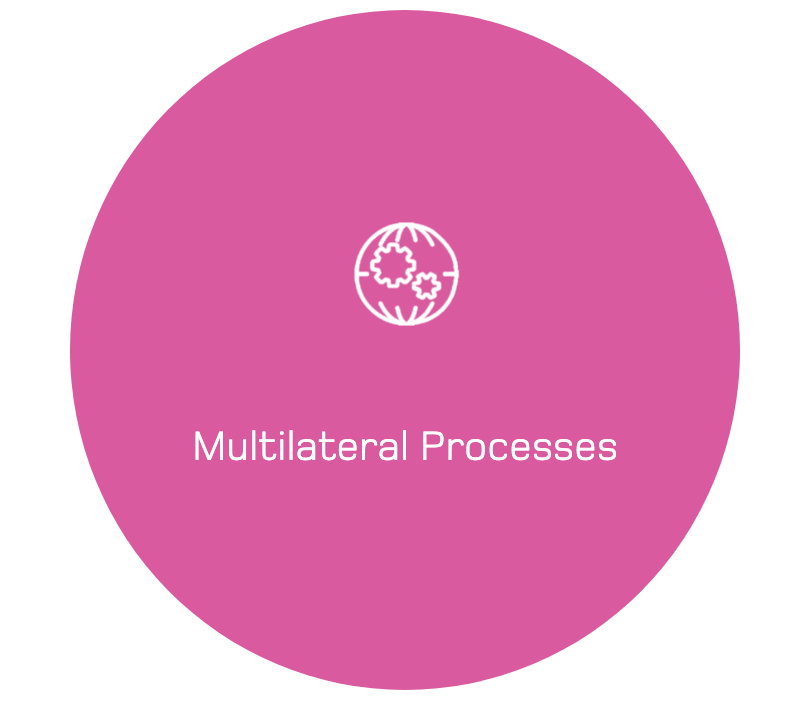 Multilateral Processes