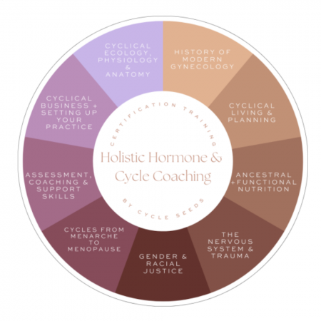 Holistic Hormone & Cycle Coaching – Help Fund the Future of Female Health!